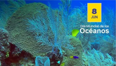 Celebrando el Día Mundial de los Océanos en la Reserva de Biosfera Seaflower